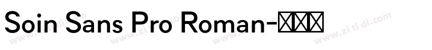 Soin Sans Pro Roman字体转换